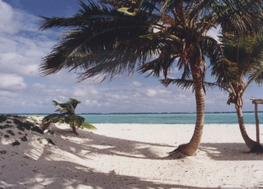 Cayo Sabinal2 - Top 5 Travel Destinations For 2010