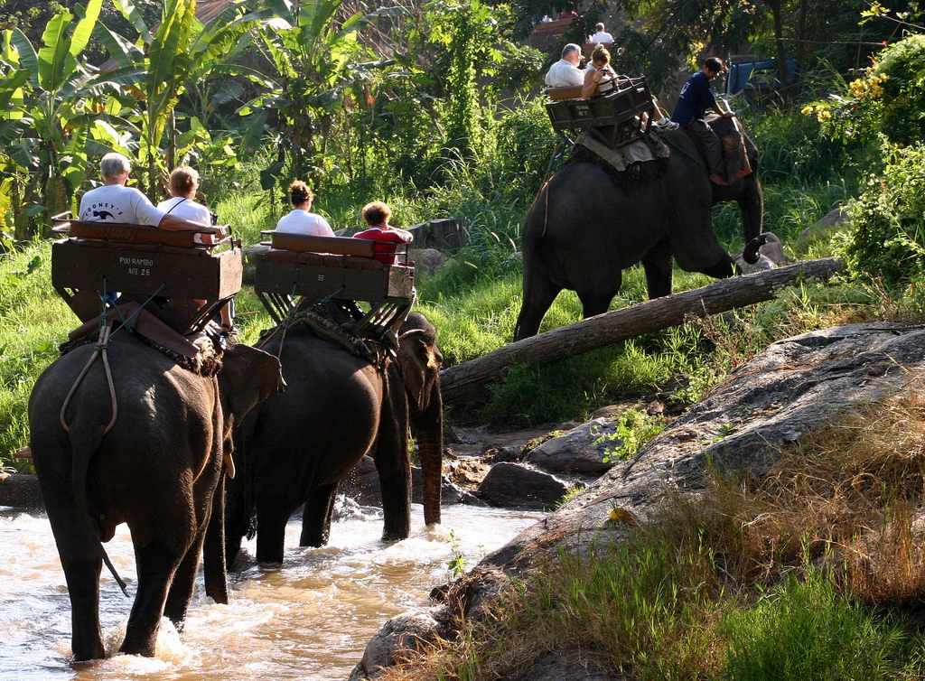 thaielephant - Top 5 Travel Destinations For 2010