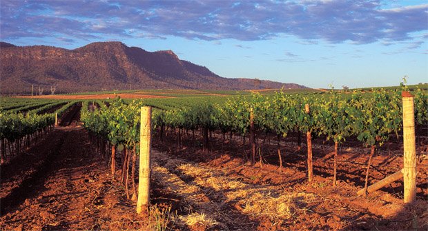 hunter valley - The Great Wine Hunt: Explore Australia's 'Napa Valley'