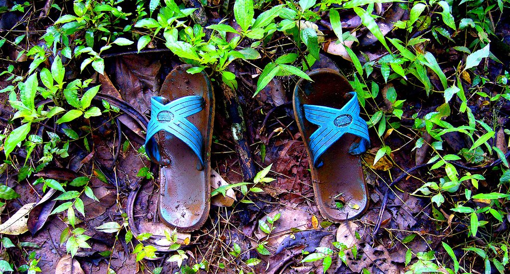 New Study Shows Travelers More Socially Conscious 2947061177 1a6a86f746 b 1024x550 - New Study Shows Travelers More Socially Conscious